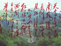 15条关于清平乐的经典语句