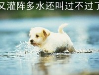 最新的《博客》语录摘抄