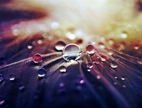 《那些不值钱的经验》读后感精选10篇
