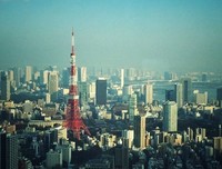 《东京塔》读后感10篇