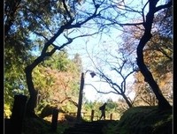 《这么远那么近》读后感10篇