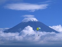 《樱花盛开》观后感10篇