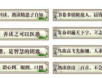 最经典的砂川美名言名句