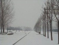 那一场大雪