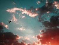  人生需要你自己来定 