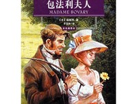 《包法利夫人》经典观后感10篇