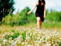最经典的《游戏人生》语录摘抄大全