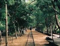 《自深深处》经典语录