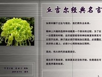2017天下无病15句经典名言