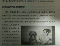 邓巴博士养狗圣经读后感10篇