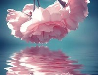 《后会无期》佳句摘抄
