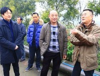 最经典的青青的悠然的名言名句