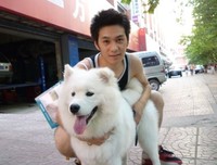 《爱犬的奇迹》影评10篇