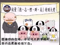 关于小猪的唯美语录