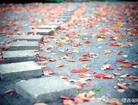 注定的路，不妨坦然相对