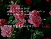 最全的七堇年经典句子