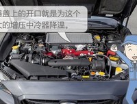 最新的《滑头鬼之孙》佳句摘抄大全