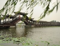 最全的《廊桥遗梦》经典语录大全