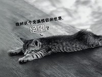 15条关于零狗碎的经典语句