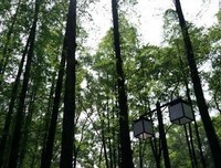 大学毕业，初入社会，怕我无法面对人性的丑恶......