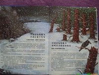 《无畏》读后感10篇