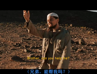 《谎言之躯》观后感10篇