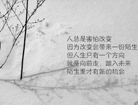 最新的《簪中录》经典名句