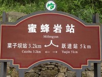 《晃晃悠悠》经典读后感10篇