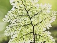 这些细节，最能看出一个人的教养