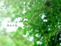《幸福一定会不请自来》的读后感10篇