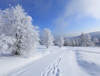 描写白雪皑皑的经典句子