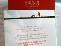 奇风岁月读后感10篇