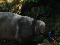 《江原道之力》影评精选10篇