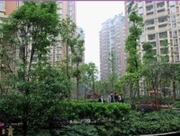 关于米米的名言