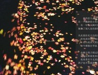 《爱我吧，爱人》名句欣赏