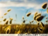 人要学会“释怀”