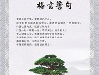 全裸格言警句
