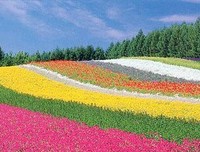 最全的《修道院纪事》经典语录