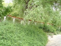 《洛阳伽蓝记校释》读后感10篇