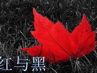 《红与黑》的读后感10篇