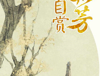 《孤芳不自赏》经典句子大全