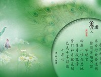最全的《当时只道是寻常》经典句子