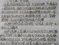《鸟，看见我了》读后感10篇