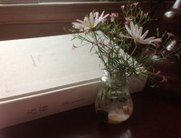 忧愤格言警句