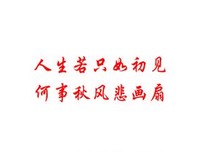 人生若只如初见