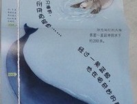 大而不倒经典读后感10篇