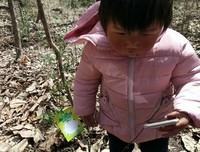 朱雀读后感10篇