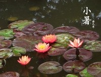 《王子与贫儿》读后感精选10篇
