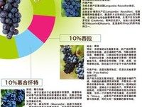 关于菲斯的名言