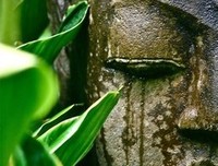 三界的语句摘抄_关于三界的语句